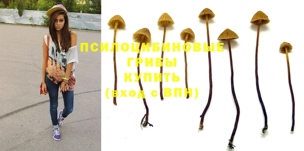 твердый Осинники