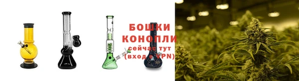 каннабис Алзамай