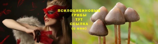 трава Алексин