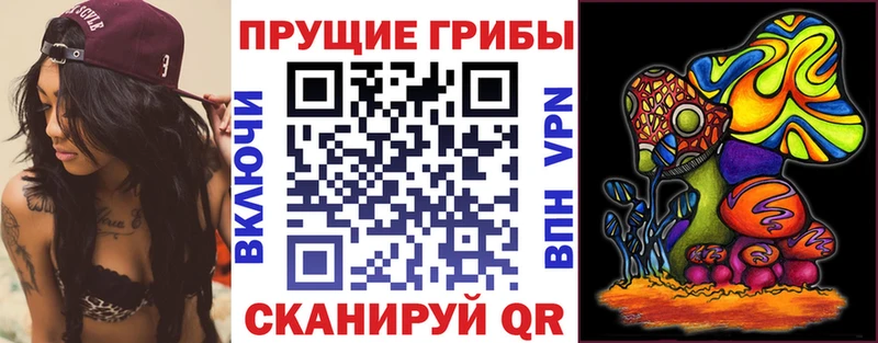 МЕГА ССЫЛКА  Новая Ляля  мориарти какой сайт  Галлюциногенные грибы Magic Shrooms 